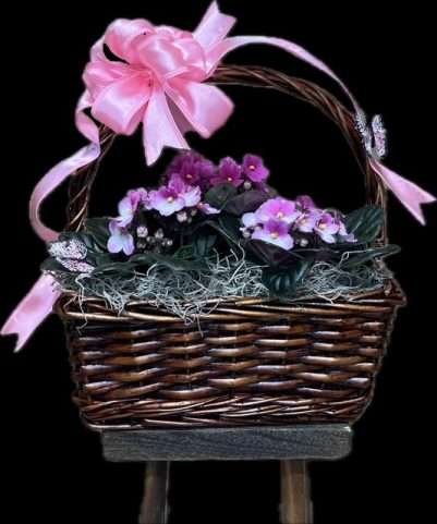 Violet Dreams Plant Basket
